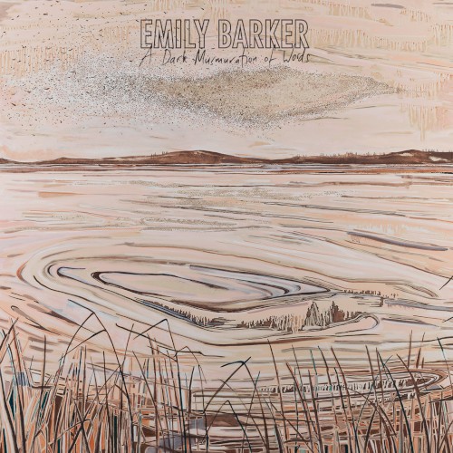 Album Poster | Emily Barker | When Stars Cannot Be Found