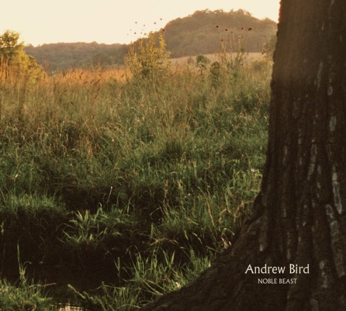 Album Poster | Andrew Bird | Not a Robot, but a Ghost