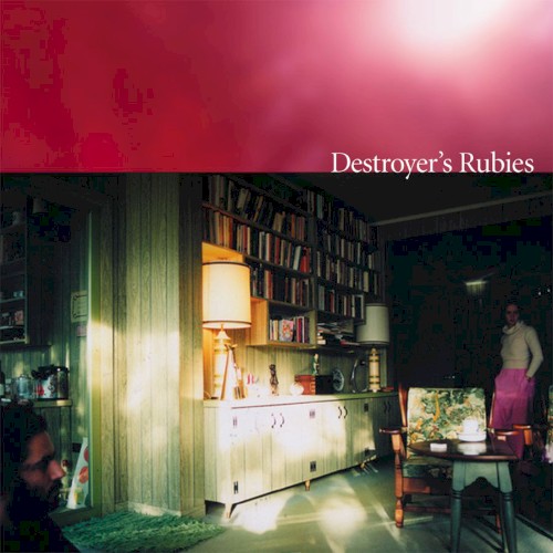 Album Poster | Destroyer | painter in your pocket