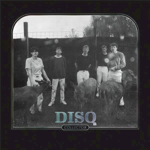 Album Poster | Disq | Daily Routine