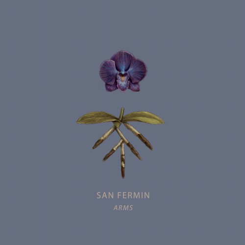 Album Poster | San Fermin | Weird Environment