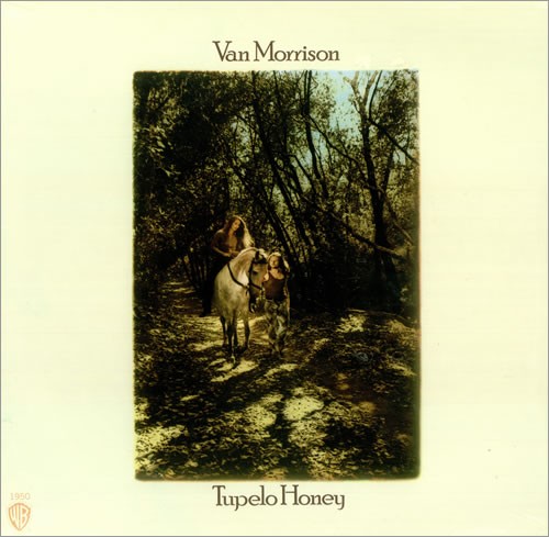 Album Poster | Van Morrison | Wild Night