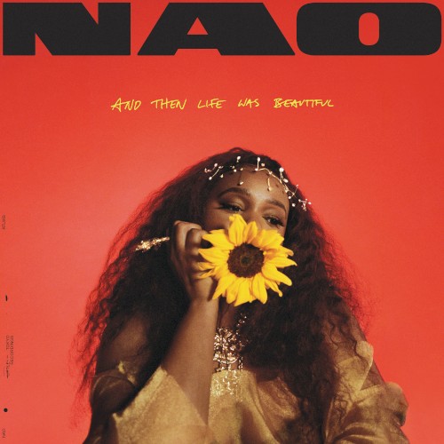 Album Poster | NAO | Wait