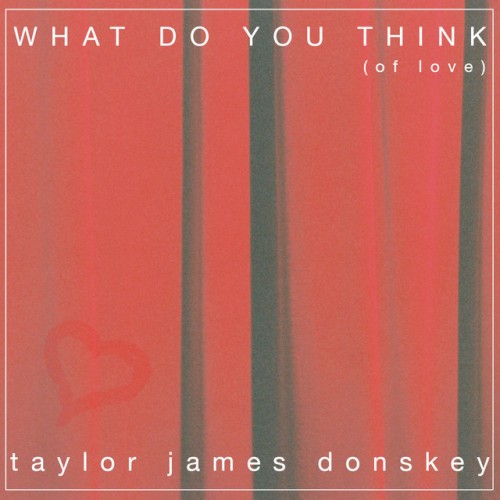 Album Poster | Taylor James Donskey | What Do You Think (of love)