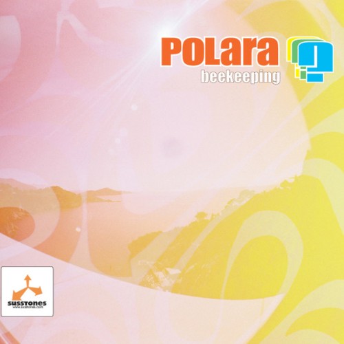 Album Poster | Polara | Out Of Your Hands