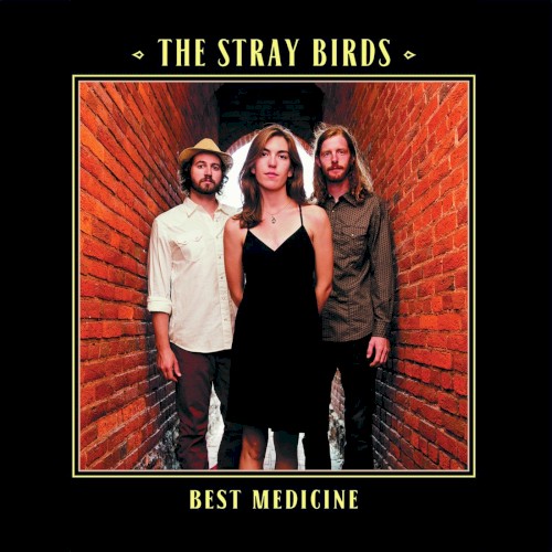 Album Poster | The Stray Birds | Simple Man