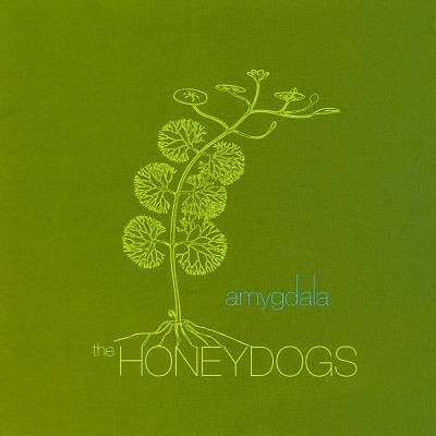 Album Poster | The Honeydogs | Amygdala
