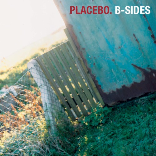 Album Poster | Placebo | Dark Globe
