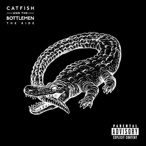 Album Poster | Catfish and the Bottlemen | Twice