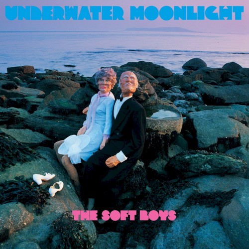 Album Poster | The Soft Boys | Underwater Moonlight