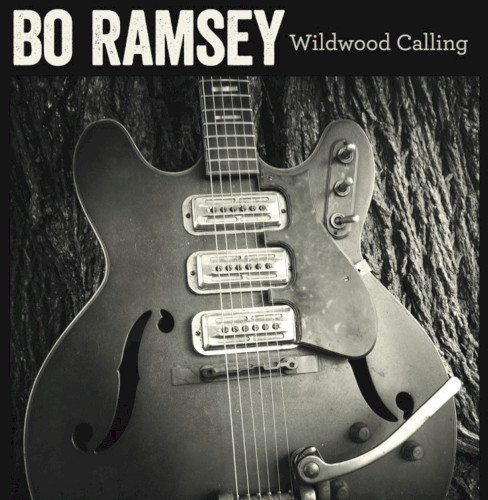 Album Poster | Bo Ramsey | Through the Trees