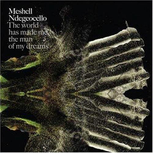 Album Poster | Me'Shell Ndegeocello | Soul Spaceship