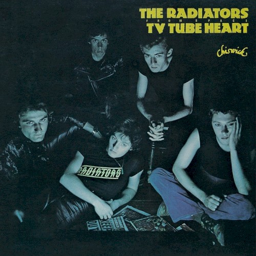 Album Poster | The Radiators From Space | Enemies