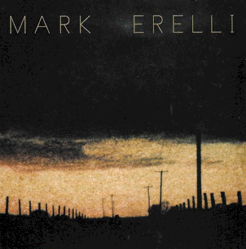 Album Poster | Mark Erelli | Hollow Man
