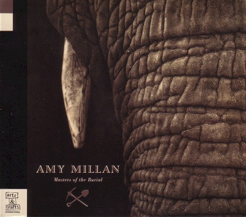 Album Poster | Amy Millan | I Will Follow You Into the Dark