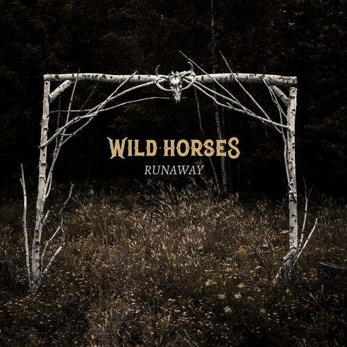 Album Poster | Wild Horses | Like the Sea