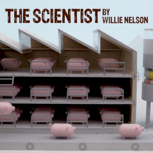 Album Poster | Willie Nelson | The Scientist