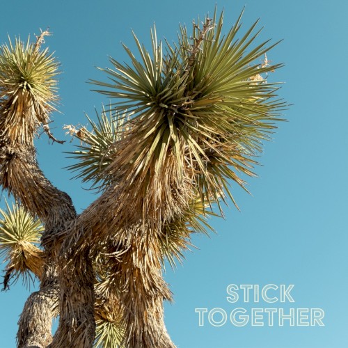 Album Poster | John Mark Nelson | Stick Together