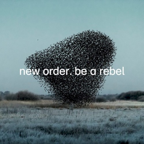 Album Poster | New Order | Be A Rebel