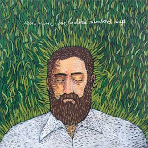 Album Poster | Iron and Wine | Fever Dream