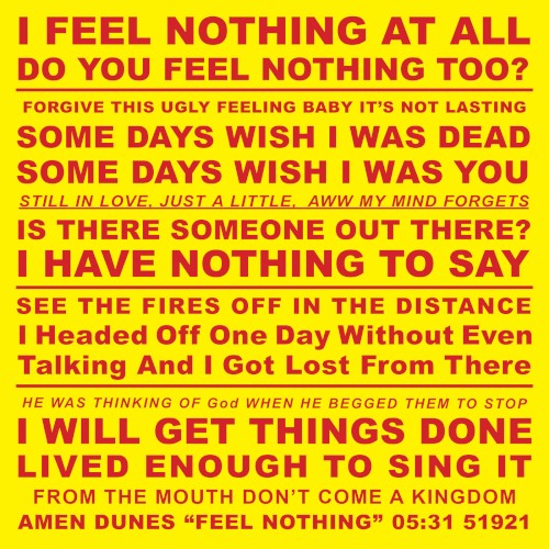 Album Poster | Amen Dunes | Feel Nothing