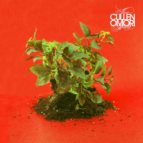 Album Poster | Cullen Omori | Cinnamon