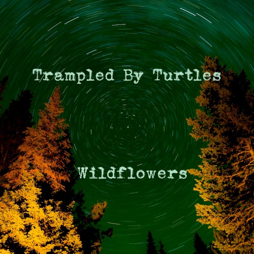 Album Poster | Trampled By Turtles | Wildflowers
