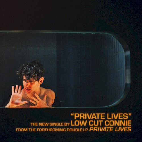Album Poster | Low Cut Connie | Private Lives