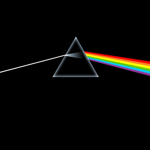Album Poster | Pink Floyd | Brain Damage