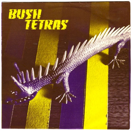 Album Poster | Bush Tetras | Too Many Creeps