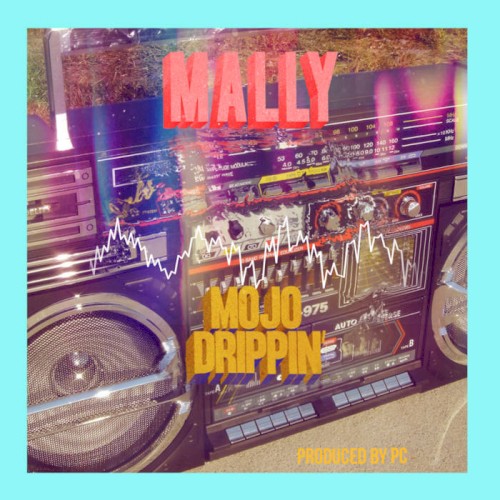 Album Poster | MaLLy | Mojo Drippin'