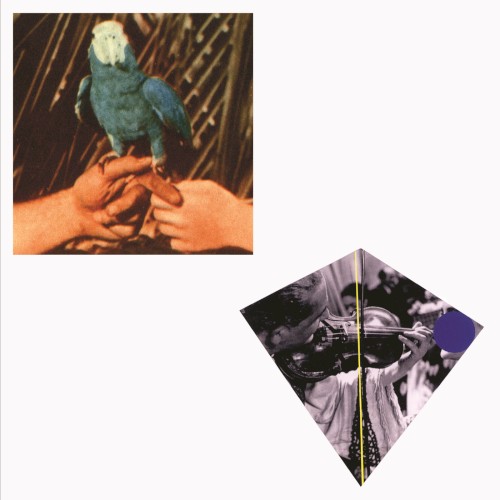 Album Poster | Andrew Bird | Left Handed Kisses feat. Fiona Apple