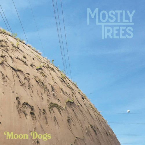 Album Poster | Mostly Trees | Fears