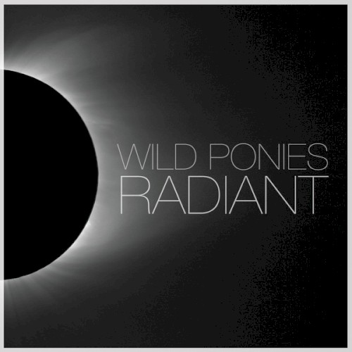 Album Poster | Wild Ponies | Born With A Broken Heart